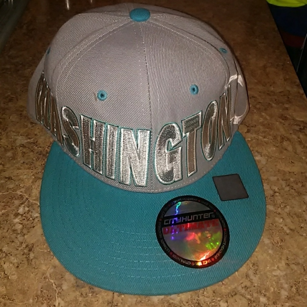 Adjustable WASHINGTON DC cap